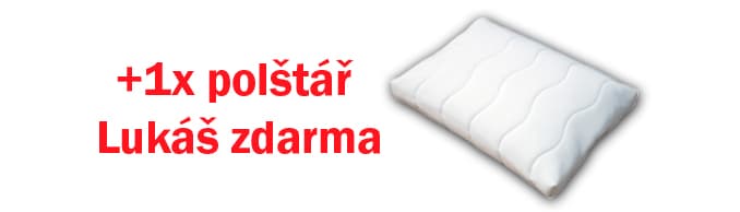 Sendvičová matrace BRIGITA + 1x polštář Lukáš ZDARMA Dřevočal 3