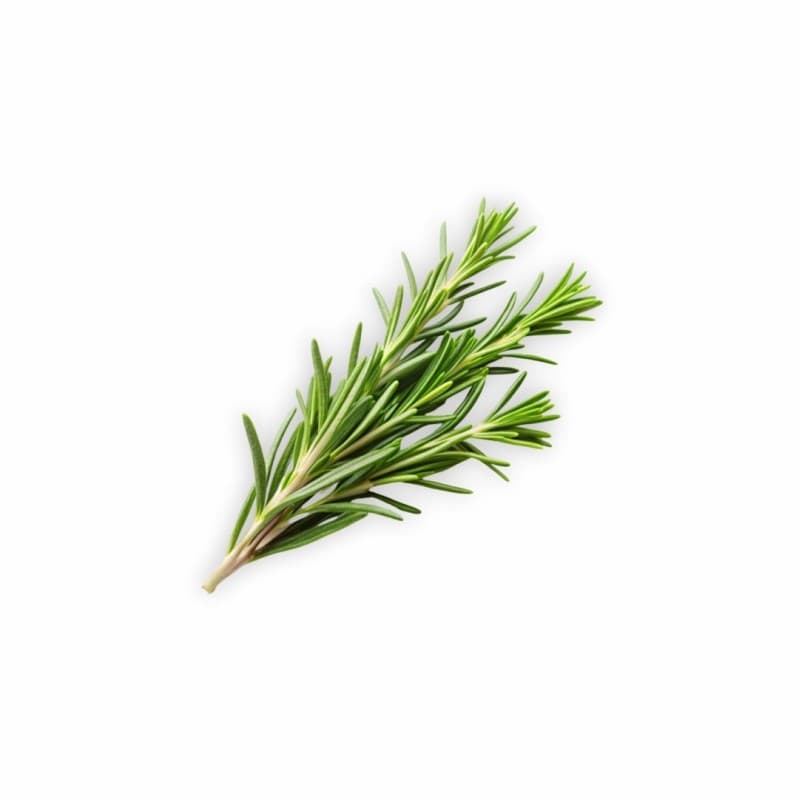Aromatický polštář Rosemary EMI 6
