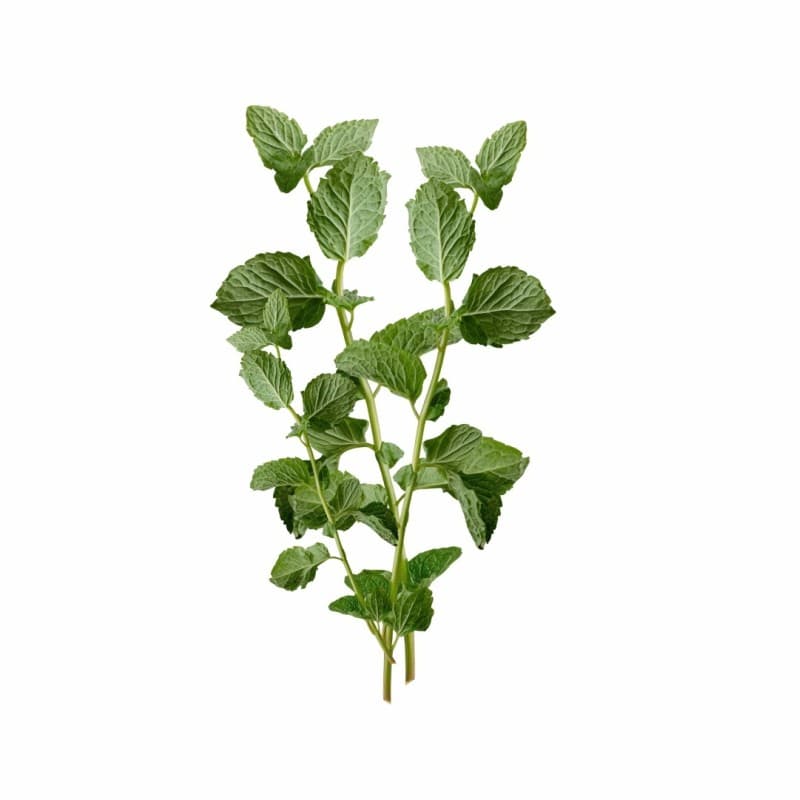 Aromatický polštář Mint EMI 6